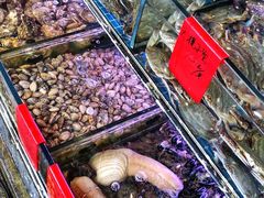 水产区-金海湾海鲜排档(朱家尖店)