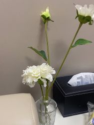 -上海玫瑰医疗美容医院