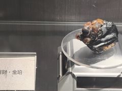 -抚顺煤矿博物馆
