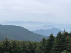 -白草畔自然风景区