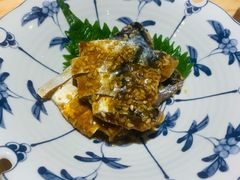 生腌青花鱼-镹·鱼料理  国产鱼使用店