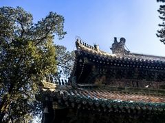 -潭柘寺景区