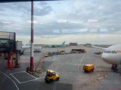 -谢列梅捷沃国际机场