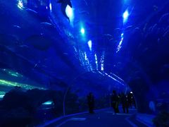 -成都浩海立方海洋公园