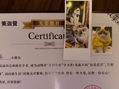 -美迦爱-牙专科·兔科·骨科诊疗中心(北苑店)