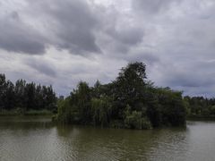 -白鹭湾湿地公园