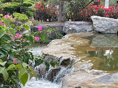 -东莞植物园