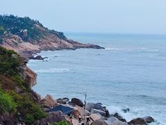 -广东惠东海龟国家级自然保护区