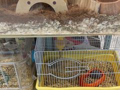 -FAELING PETS美天灵宠物(合生汇店)