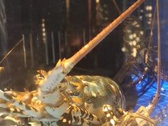 -珍宝轩海鲜火锅(碧湖大厦店)