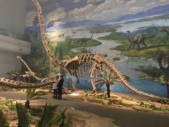 -自贡恐龙博物馆