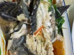 石斑鱼-鲜味食族水产·海鲜餐厅