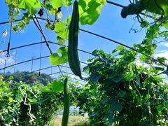 -小乡小镇·传承桐庐土菜·老板亲自烧的菜
