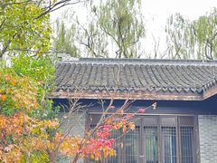 -同里国家湿地公园