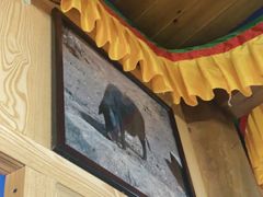 -银同牦牛肉火锅