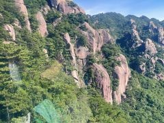 -九华山风景区-东崖禅寺