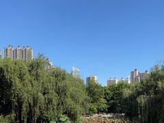-岭南美术馆