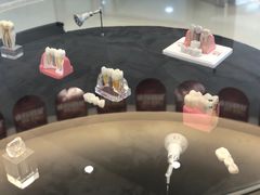 -团圆口腔·种植中心(锦江院区)