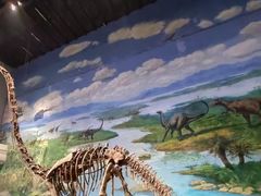 -自贡恐龙博物馆