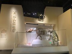 -国家自然博物馆