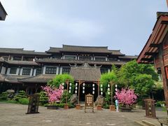 -乐山乌木文化博览苑