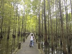 -桤木河湿地公园