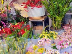 -循礼门鲜花花市(武汉循礼门店)