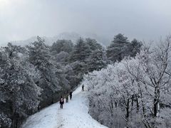 -安吉龙王山风景区