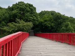 -美兰湖景区