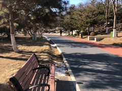 -大兴滨河森林公园