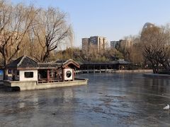 -团结湖公园