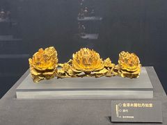 -温州博物馆