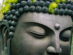 -杭州植物园