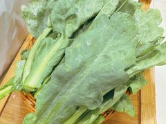 茼蒿-同城四季爆肚涮羊肉(安华里店)