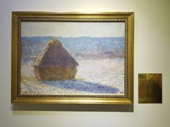 -印象莫奈时光映迹艺术展