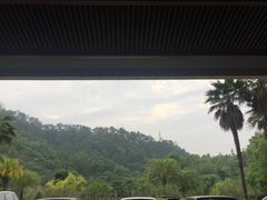 -河源万绿湖美思威尔顿酒店
