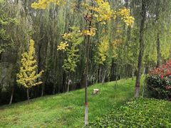 -西安汉城湖景区