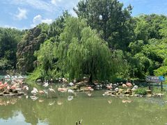 -宁波野生动物园