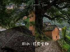 -杨家堂村