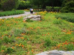 -永定河休闲森林公园