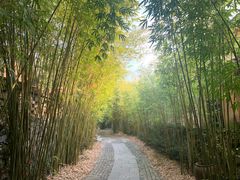-三特浪口温泉精品酒店