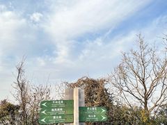 -杭州半山国家森林公园