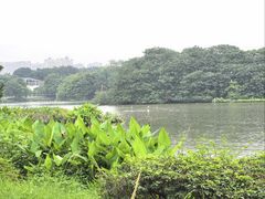 -海珠湖公园