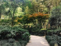 -杭州黄龙洞