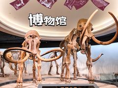 -大庆市博物馆