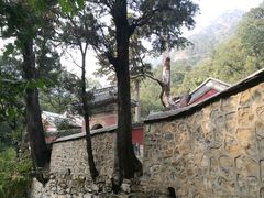 -北京上方山国家森林公园