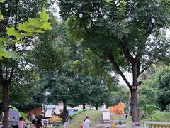 -HERRE·FARM 赫尔露营农场·团建聚会包场