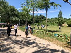 -廊坊市自然公园