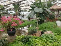 -石家庄市植物园