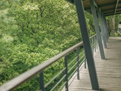 -西湖风景区-江洋畈生态公园